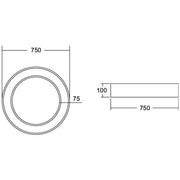Brumberg Leuchten - Decken-/Wandleuchte LED-Anbau-Ringleuchte 13571174 DALI DT6 D75cm H10cm