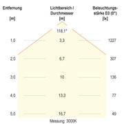EVN Lichttechnik - Decken-/Wandleuchte LED-Pendelleuchte RPT800125 CCT Switch