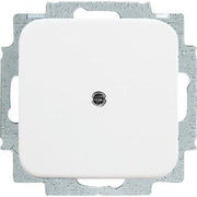 Busch-Jaeger - Einsatz/Abdeckung für Kommunikationstechnik Blindzentralscheibe aws 2538-214 mit Tragring