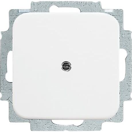 Busch-Jaeger - Einsatz/Abdeckung für Kommunikationstechnik Blindzentralscheibe aws 2538-214 mit Tragring
