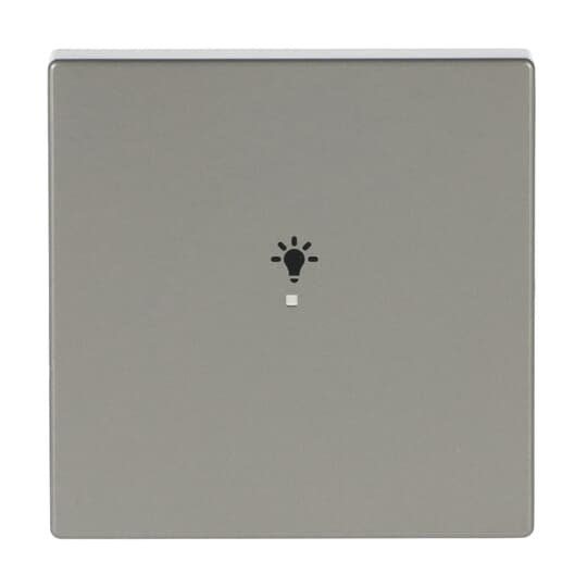 Busch-Jaeger - Bussystem-Tastwippe Wippe eds 6231-10-866 pur Edelstahl