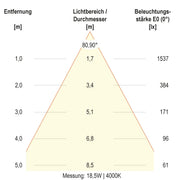 EVN Lichttechnik - Decken-/Wandleuchte LED-Deckenleuchte DSR54190125 ML, MC