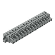 WAGO - Kabelsteckverbinder für Leiterplattensteckverbinder 1-Leiter-Federleiste 231-216/031-000 CAGECLAMP,2,5 mm²,gr − 10 Stück
