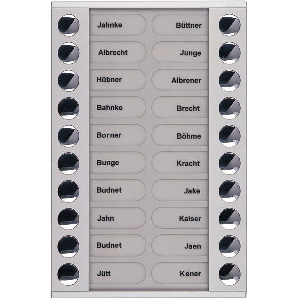 TCS Tür Control - Montageelement für Türstation Audioaußenstation 2-reihig PET20-EN/04 Erw.20 Tasten silber