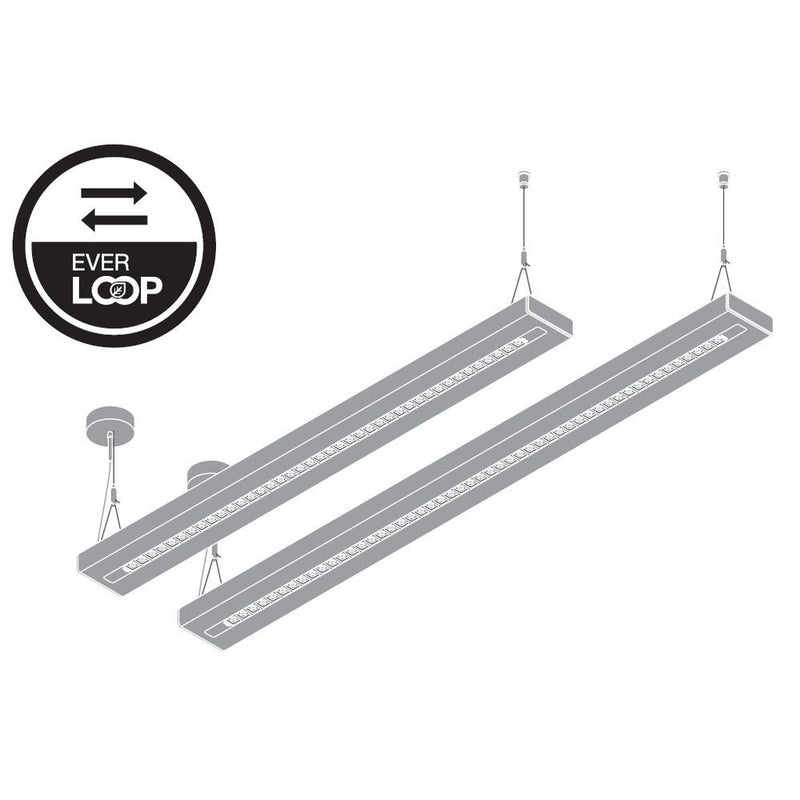 Ledvance - Pendelleuchte LED-Pendelleuchte LNI.DI1,2P54W930DELB 930, DALI, schwarz  − 1 Stück