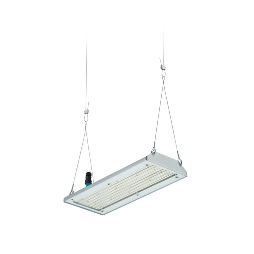 Philips Lighting - Hallen-Reflektorleuchte LED-Hallenleuchte BY580P 130 #59414200 4000K, DIA