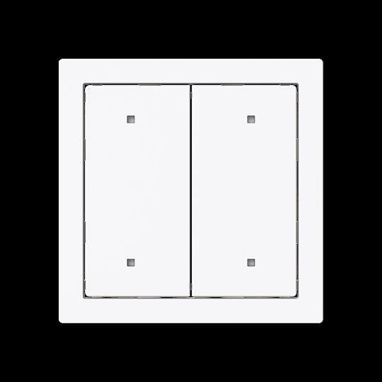 Busch-Jaeger - Abdeckung/Bedienelement für Installationsschalterprogramme Wippe für Elektroniktaster 2570-20-44G 2-fach
