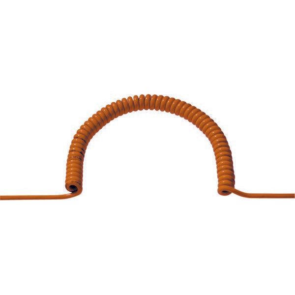 Bachmann - Wendelleitung Spiralleitung PUR 684.880 3G1,5/0,5m or