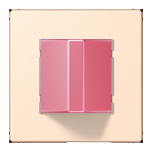 Jung - Behindertenelement für Installationsschalterprogramme Notrufsystem Rufmodul NRS LC 0834 RM 238 terre sienne pale