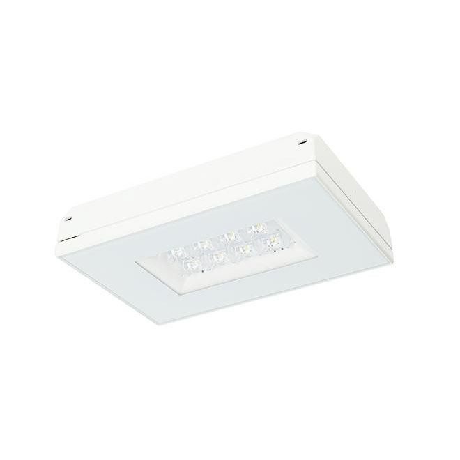 Fischer - Sicherheitsleuchte LED-Sicherheitsleuchte MXDE129Z  − 1 Stück