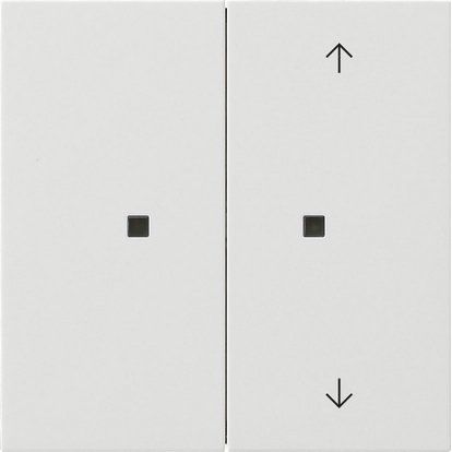 Gira - Bussystem-Tastwippe KNX Taster Wippe 2f rws 5175112 unbedruckt/Pfeile