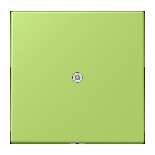 Jung - Einsatz/Abdeckung für Kommunikationstechnik Leitungsauslass m. Zugent. LC 990 A 221 vert clair