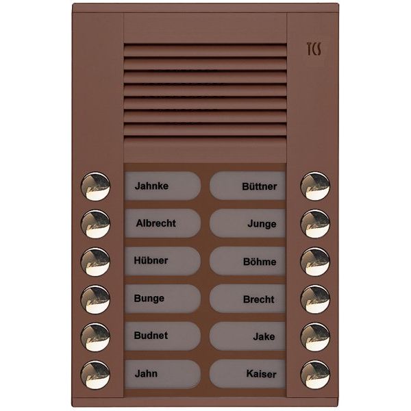 TCS Tür Control - Türstation für Türkommunikation Audioaußenstation 2-reihig PES12-EB/04 12 Tasten AP bronze