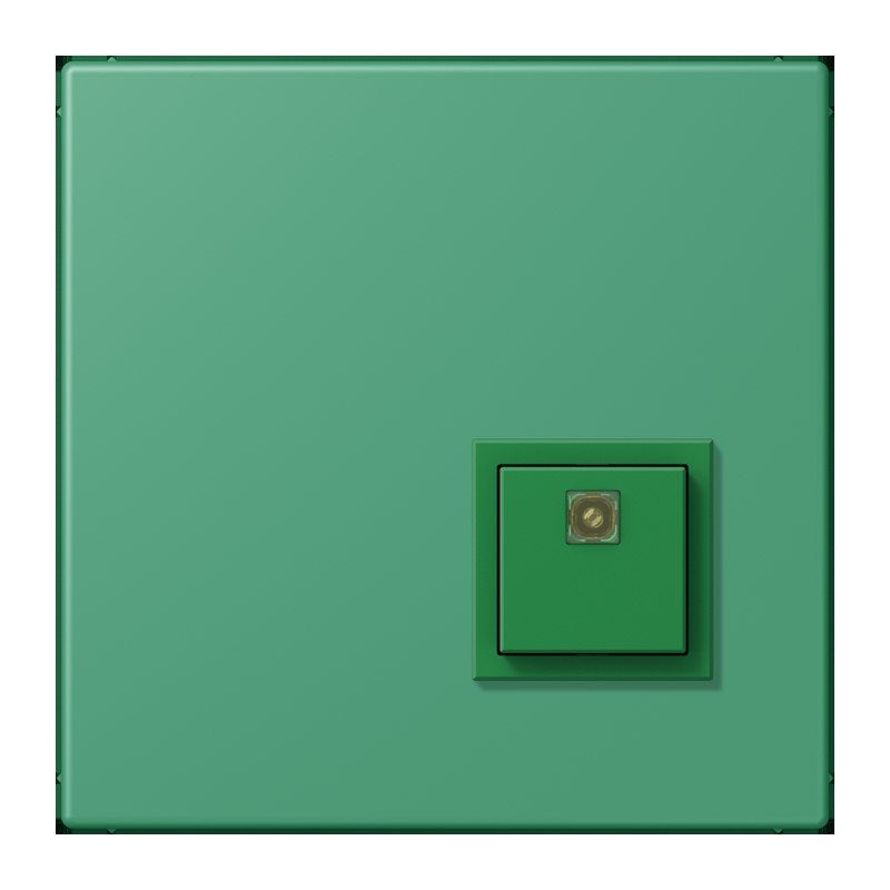 Jung - Behindertenelement für Installationsschalterprogramme Notrufsystem Abstelltaster NRS LC 0834 AT 250 vert 59