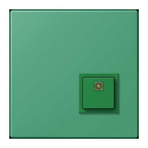 Jung - Behindertenelement für Installationsschalterprogramme Notrufsystem Abstelltaster NRS LC 0834 AT 250 vert 59