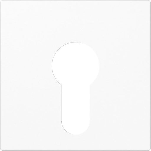 Jung - Abdeckung/Bedienelement für Installationsschalterprogramme Abdeckung aws A 525 PL WW für Schlüsselschalt