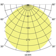 Brumberg Leuchten - Downlight/Strahler/Flutlicht LED-Hallentiefstrahler 78313084 4000K