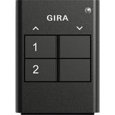 Gira - Bussystem-Tastwippe KNX RF-Handsender 512200 2-fach anth