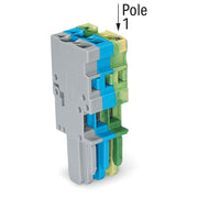 WAGO - Ein- und mehrpolige Klemmenleiste 1-Leiter-Federleiste 769-103/000-038 4mm²,gn-ge/bl/gr − 50 Stück
