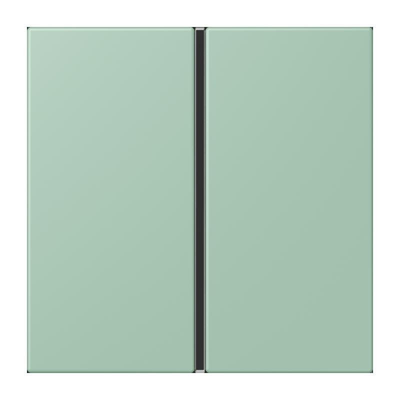 Jung - Abdeckung/Bedienelement für Installationsschalterprogramme Tastensatz 1fach LC 401 TSA 217 vert anglais clair