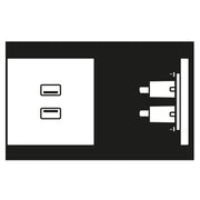 Jung - Multifunktions-Anschlussdose Multimedia-Anschluss aws MA LS 1153 WW 2 x USB m.Tragring