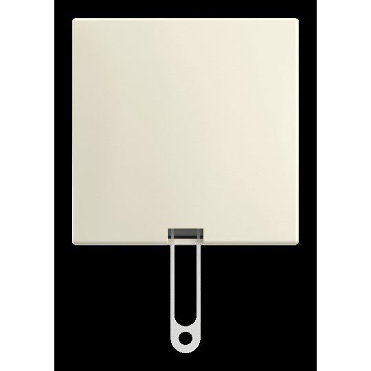 Busch-Jaeger - Installationsschalter Zugschalter AP 2610/6 J-522