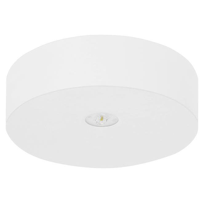 Fischer - Sicherheitsleuchte LED-Sicherheitsleuchte AXD319SC.V2 EB 3h  − 1 Stück