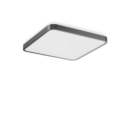 RZB - Decken-/Wandleuchte LED-Wand-u. Deckenleuchte 312441.0031.76 830, DALI, anthr