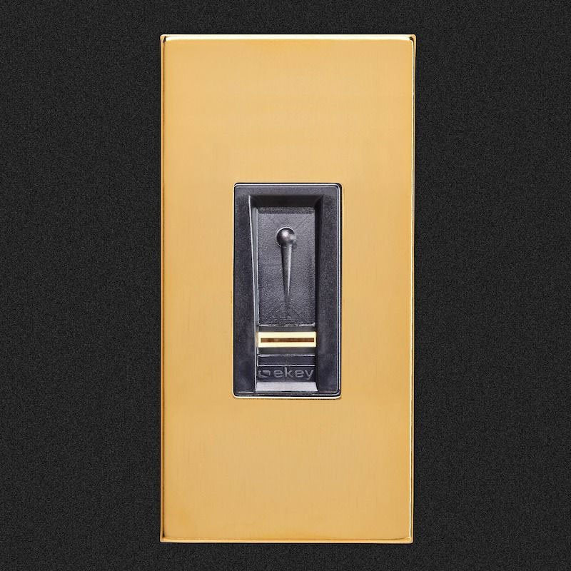 Ekey (AT) - Zubehör/Ersatzteile für Gefahrenmeldesystem Dekorelement f. Fingersca. 101 303 GO integra 2.1, gold
