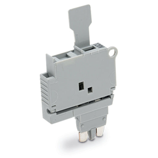 WAGO - Bauelementestecker Sicherungsstecker 2004-911/1000-867 5x20mm,grau − 50 Stück