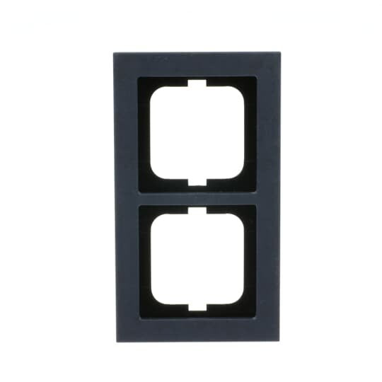 Busch-Jaeger - Abdeckrahmen Abdeckrahmen 1722-248 2-fach  − 1 Stück
