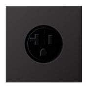 Jung - Steckdose Steckd NEMA20 AL 2521-20 D A125 V LS dark