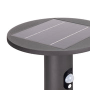 Lichtline - Wegeleuchte LED-Solar-Wegeleuchte PRDX27794 60cm