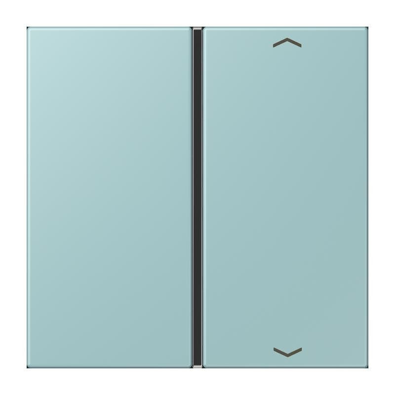 Jung - Abdeckung/Bedienelement für Installationsschalterprogramme Taste 1fach m. Pfeilsymb. LC 401 TSAP 214 ceruleen clair