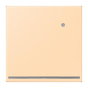 Jung - Orientierungsleuchte LED-Orientierungslicht LC 1539-O LNW 223 ocre (32060)