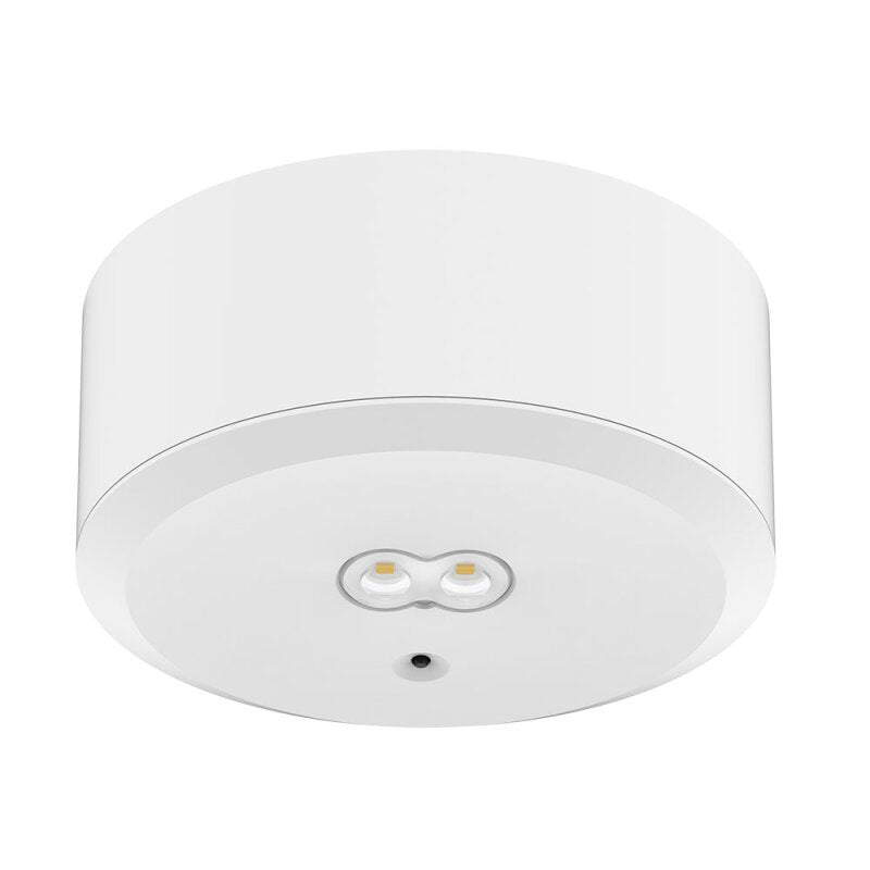 Dotlux - Sicherheitsleuchte LED-Sicherheitsleuchte 5098