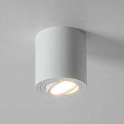 Brumberg Leuchten - Downlight/Strahler/Flutlicht Anbaumodul rund 45106170 strukturweiß