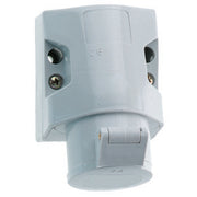 Bals Elektrotech - CEE-Steckdose (IEC 60309) Kleinsp.-Wandsteckdose 415 16A 2p