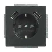 Busch-Jaeger - Steckdose SCHUKO-2x USB Steckdose 20 EUCB2USB-81