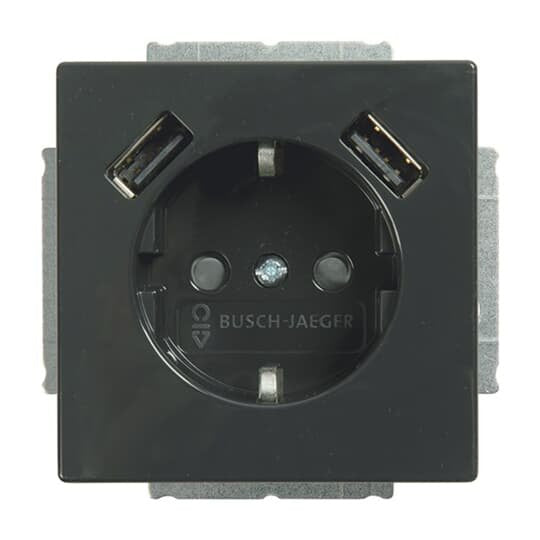 Busch-Jaeger - Steckdose SCHUKO-2x USB Steckdose 20 EUCB2USB-81