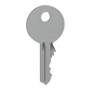 Schneider Electric - Komponente für Tür (Schaltschrank) Zylinderschloss LVS07956 2 Schlüssel Nr.2432E