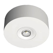 RP-Technik - Sicherheitsleuchte LED-Sicherheitsleuchte EARL423WL Decke, Linsen, rund