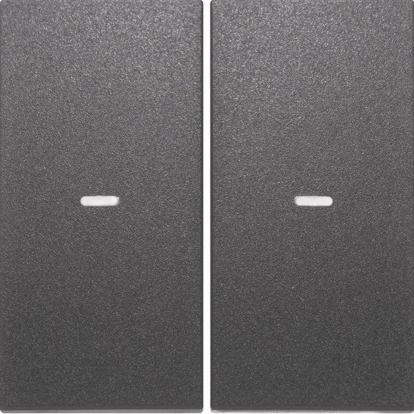 Berker - Abdeckung/Bedienelement für Installationsschalterprogramme Tast-Abdeckung 2f. anth 80960385