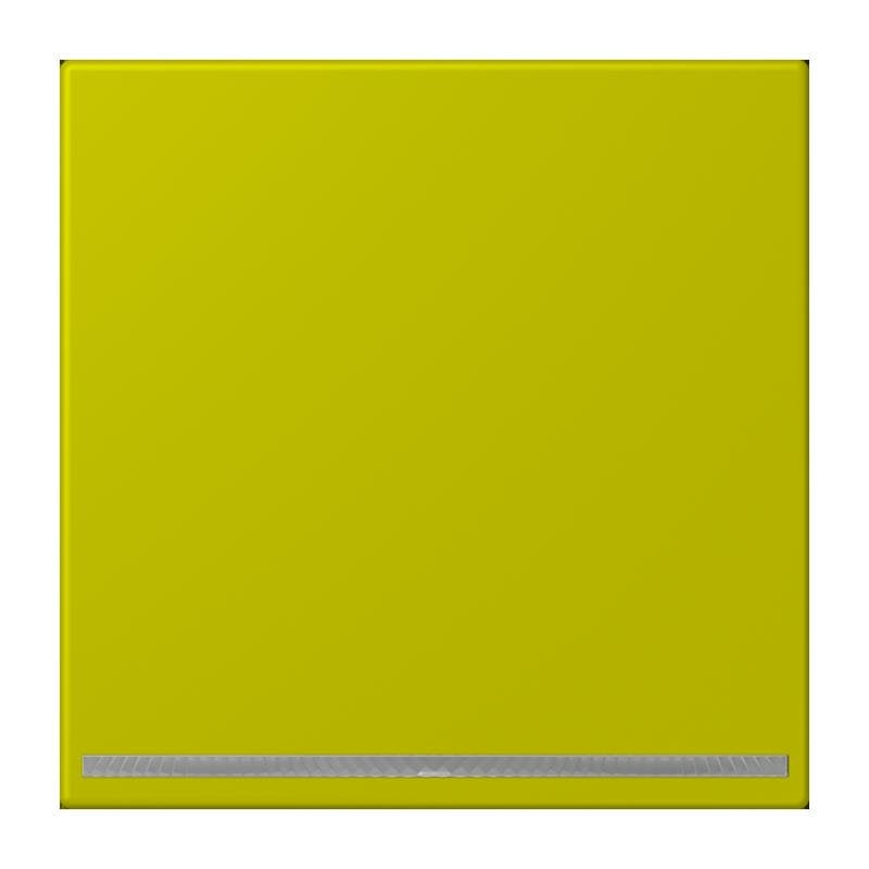 Jung - Orientierungsleuchte LED-Orientierungslicht LC 1539-OO LNW 249