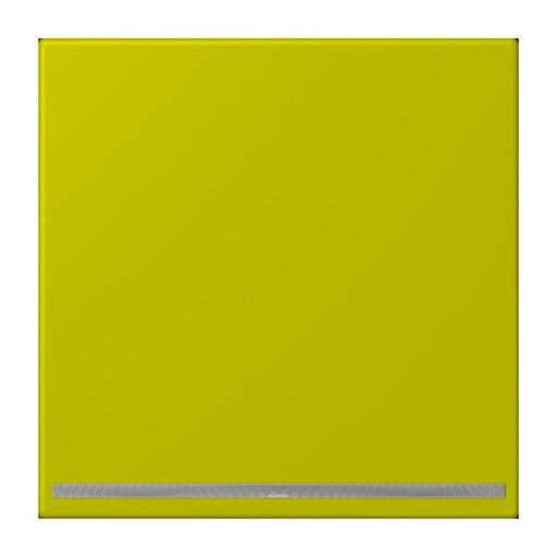 Jung - Orientierungsleuchte LED-Orientierungslicht LC 1539-OO LNW 249