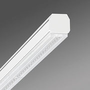 Regiolux - Geräteträger für Lichtbandsystem LED-Geräteträger SRGCB XP#19510126010 830, DALI2