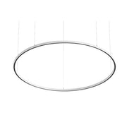 Brumberg Leuchten - Pendelleuchte LED-Pendel-Ringleuchte 84014174 4000K, DALI-2