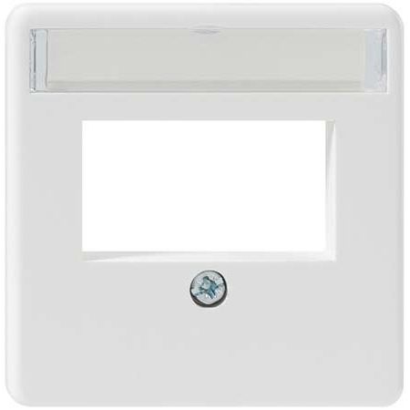 Rutenbeck - Einsatz/Abdeckung für Kommunikationstechnik Zentralplatte ZSt UM-MA 2 pws 2-fach,pws RAL1013 − 1 Stück by Rutenbe
