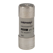 Mersen - Zylindrische Sicherung Sicherungseinsatz zylindr. FR22GG69V32P gG 22x58 32A − 10 Stück