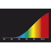Radium Lampenwerk - Flugfeldbefeuerungslampe Halogenlampe für Flugplatz RHA 100W/6,6A/R7S befeuerung